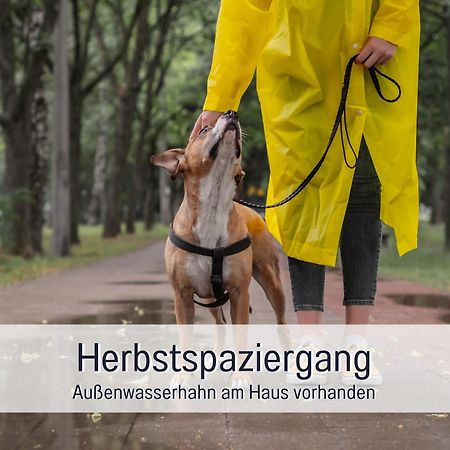 Ferienloft Sternenblick - Strandnah, Haustierfreundlich, Tolle Kueche, Optimal Fuer Workation, 4 Personen Steinberg  Ngoại thất bức ảnh
