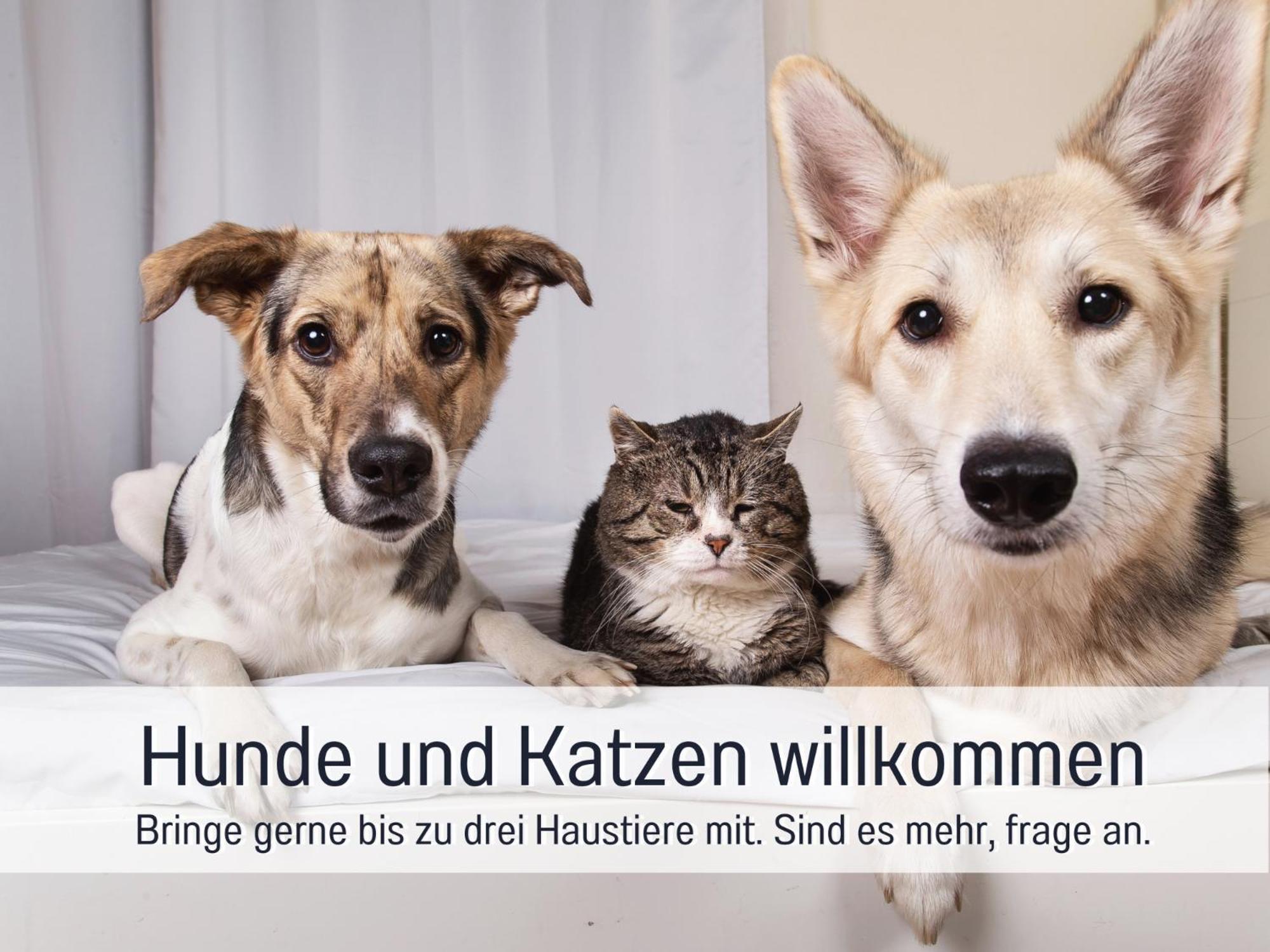 Ferienloft Sternenblick - Strandnah, Haustierfreundlich, Tolle Kueche, Optimal Fuer Workation, 4 Personen Steinberg  Ngoại thất bức ảnh