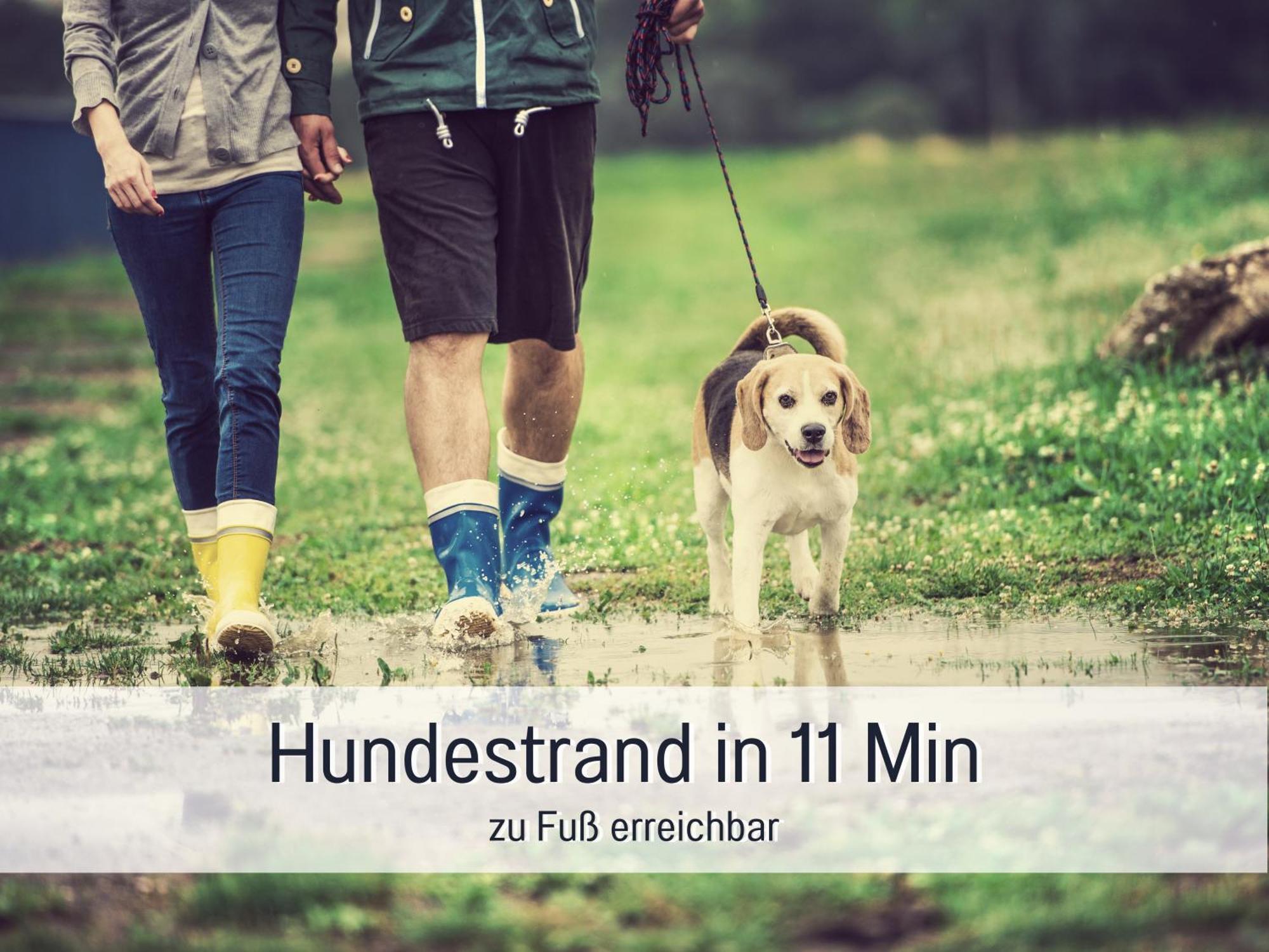 Ferienloft Sternenblick - Strandnah, Haustierfreundlich, Tolle Kueche, Optimal Fuer Workation, 4 Personen Steinberg  Ngoại thất bức ảnh