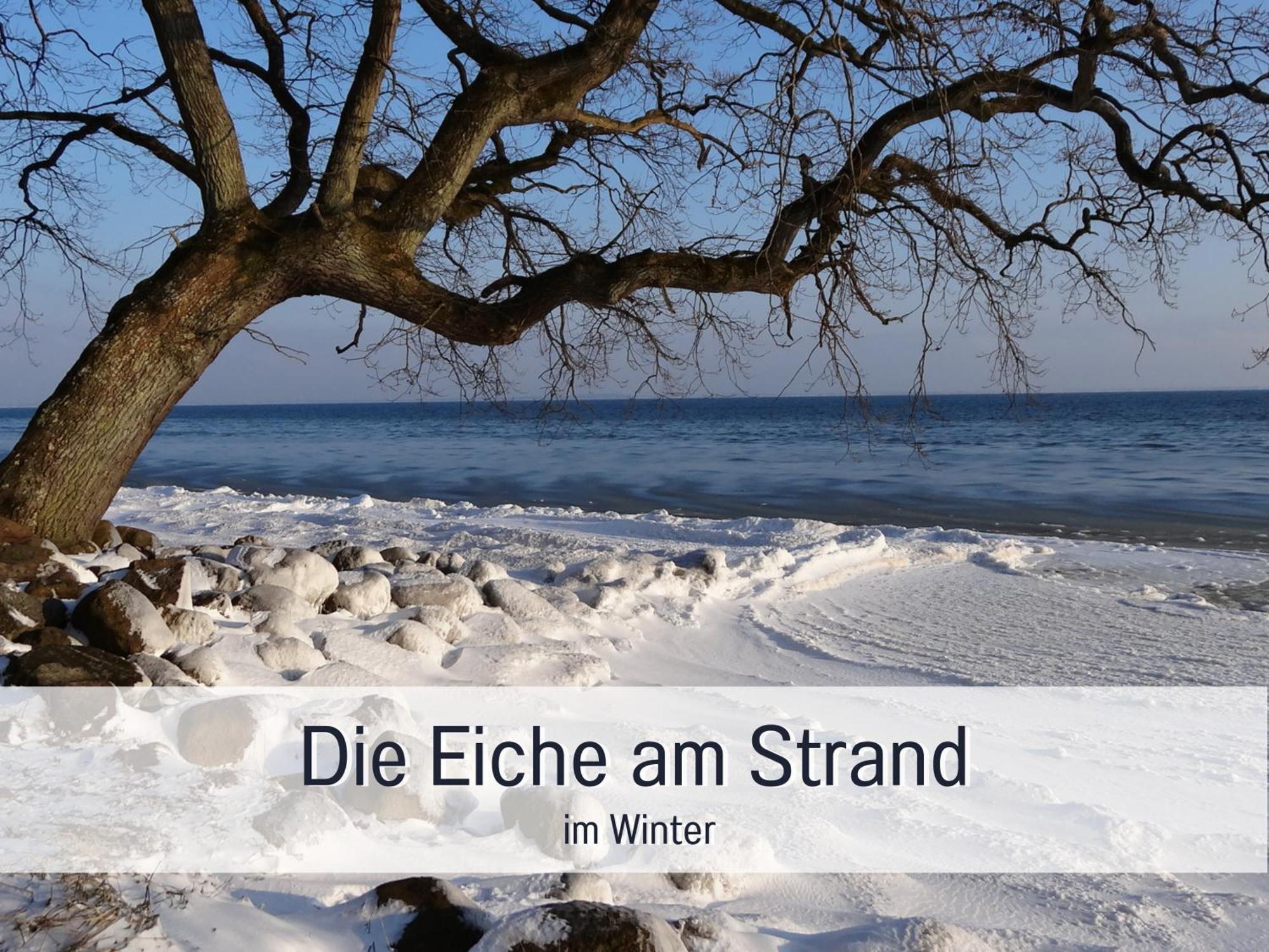 Ferienloft Sternenblick - Strandnah, Haustierfreundlich, Tolle Kueche, Optimal Fuer Workation, 4 Personen Steinberg  Ngoại thất bức ảnh