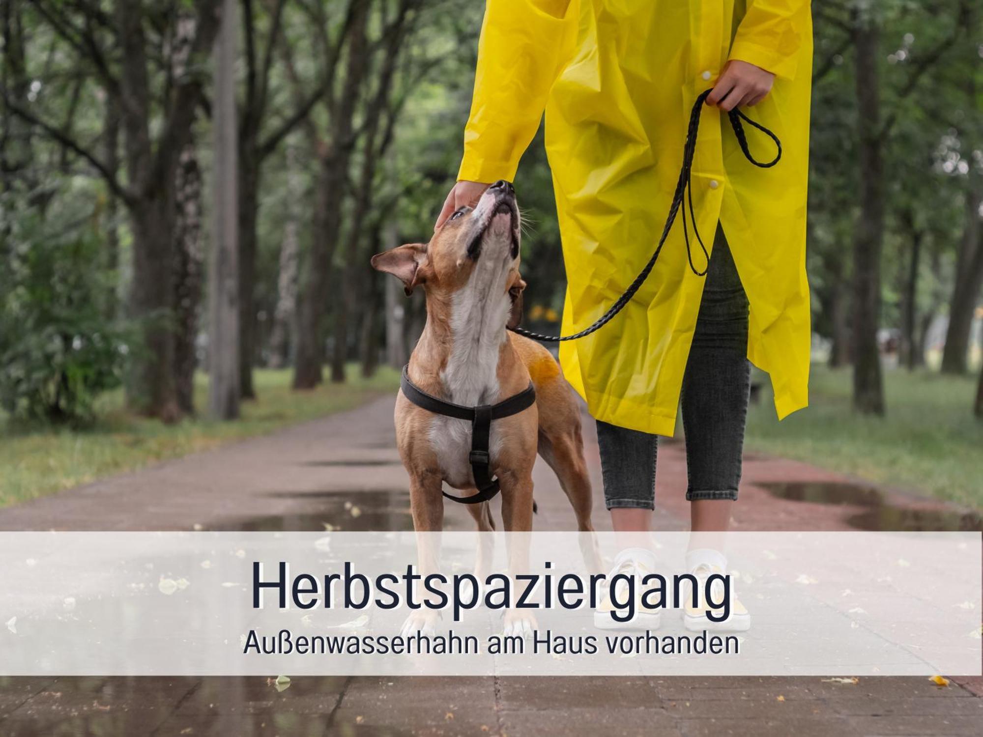Ferienloft Sternenblick - Strandnah, Haustierfreundlich, Tolle Kueche, Optimal Fuer Workation, 4 Personen Steinberg  Ngoại thất bức ảnh