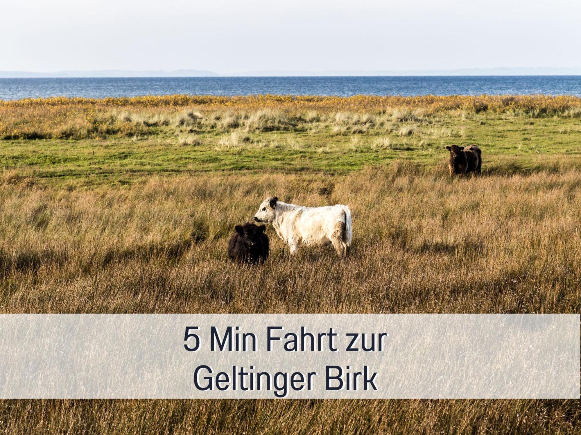 Ferienloft Sternenblick - Strandnah, Haustierfreundlich, Tolle Kueche, Optimal Fuer Workation, 4 Personen Steinberg  Ngoại thất bức ảnh